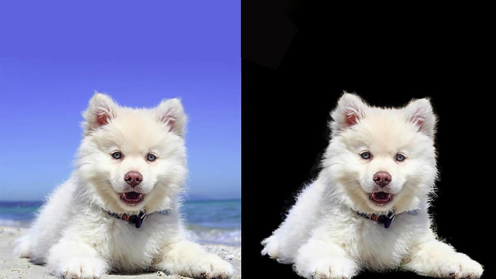 Fur-And-Hair-Masking Fur And Hair Masking